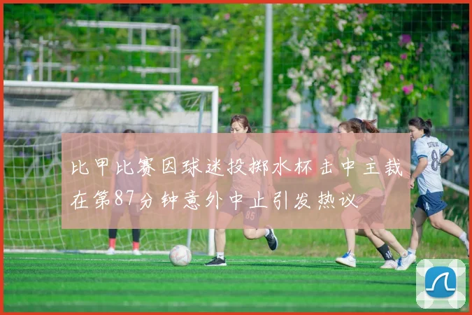 比甲比赛因球迷投掷水杯击中主裁在第87分钟意外中止引发热议