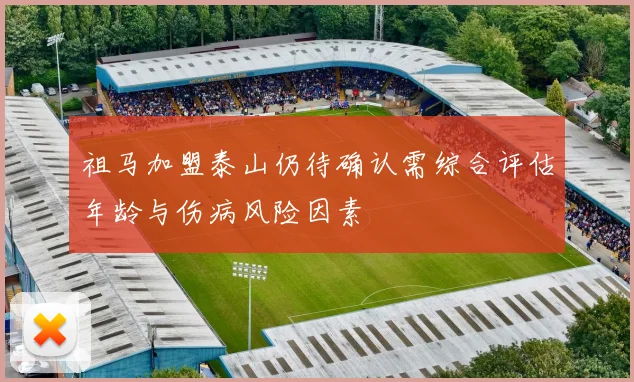 祖马加盟泰山仍待确认需综合评估年龄与伤病风险因素