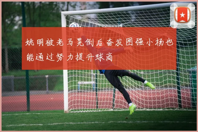 姚明被老马晃倒后奋发图强小杨也能通过努力提升球商